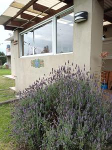 Ruca Newen Mar del Sur