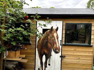 A beautiful and welcoming home and garden