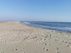 Appartements Plages de camargue et logement dans un site calme de reve : photos des chambres