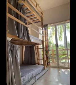 La Palmera Hostel - Zipolite