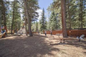 The Colorado Spruce Cabin #15 at Blue Spruce RV Park & Cabins