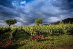 Cabaña romántica en la sierra
