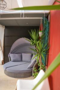 Turisalves- Ponte de Lima