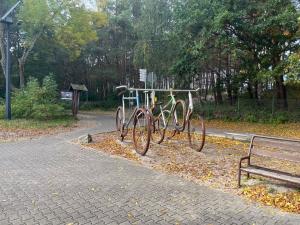 Apartamenty Morze Smaku