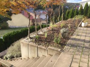 SweetSuites 40A Lavendelhaus