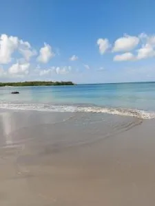 Appartements Residence Mahoghany - 圣安娜