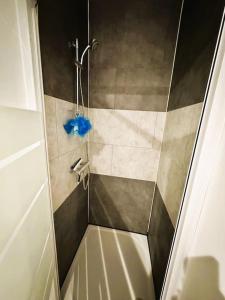 Appartements L'Airzenity ~ Chill ~ Proche Gare ~ WiFi : photos des chambres