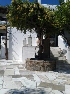 Patriko Skyros Greece