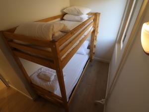 Appartement lumineux skis aux pieds avec balcon - FR-1-502-541