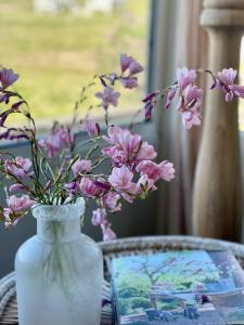 The Vignerons Cottage at Dragonfly Estate Vineyard - Stanthorpe
