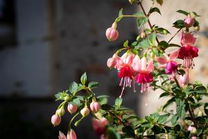 B&B / Chambres d'hotes Confidences Escale a Brissac : photos des chambres