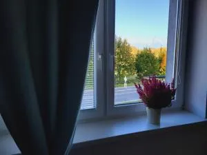 Tatry Mountain Paradise - Spišské Bystré