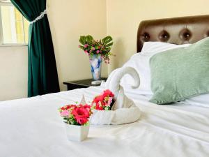 Hidden Gem: Cebus Best Escape