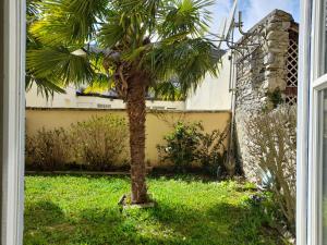 Appartements A la fontaine Saint-Blaise : photos des chambres