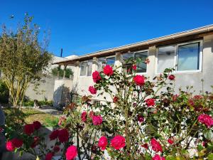 Maisons de vacances Gite Les Pirouettes : photos des chambres