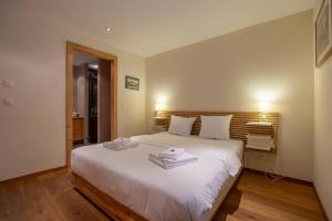 Montagnard 3 - Spa access