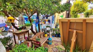 Heart of Omis - Green