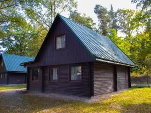 Holiday Home Kemp Stříbrný rybník-10 by Interhome - Ústí nad Orlicí