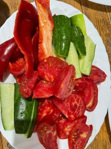 Dome Home Tents Taor