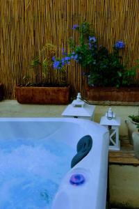 Maisons de vacances Le Cottage de Sainte Valiere (Jacuzzi et terrasse ) : photos des chambres