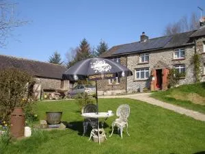 Five Saints Farmhouse B&B - Llanycrwys