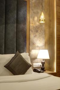 Town Pallace Inn - Hotel in New Delhi