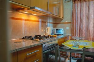 Large Modern Ponta Delgada Apartment