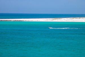 East Pass Towers 302