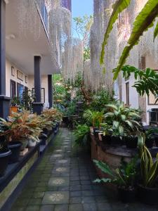 Double N Guesthouse Sanur Bali