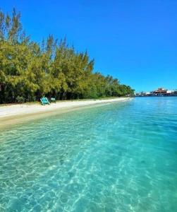 Apartamento único e aconchegante!