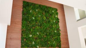 Welcomely - Affittacamere Seamphony Suites img30