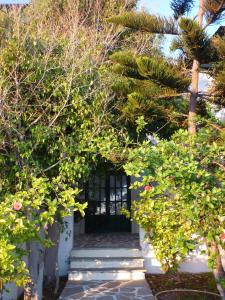 Manolis Farm Guest House Naxos Greece