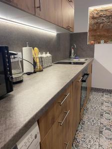 Apartament Traugutta duży