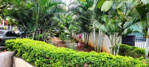 SERENE INTERNATIONAL