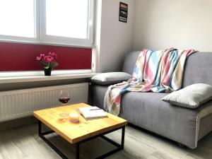 OSapart Cozy apartment in a complex Semycvit