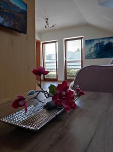 Wellness luxury apartments