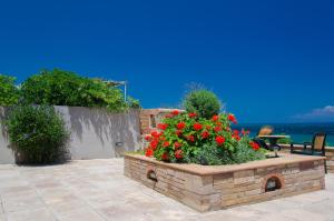 Plaka Studios Chios-Island Greece