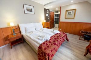 Nyerges Hotel Termál Superior