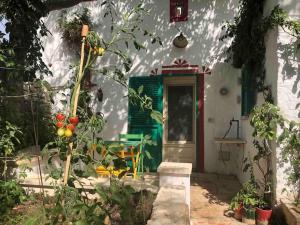 Apartamento de 1 dormitorio
