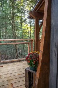 Enchanted Evergreen - Independence