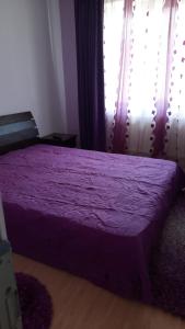 Mountain Escape Residence