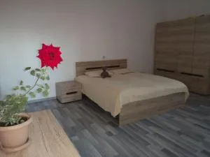 Guesthouse Rabbit - Tzovagyugh