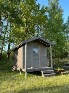 Mazie Salnēni - Jumurda