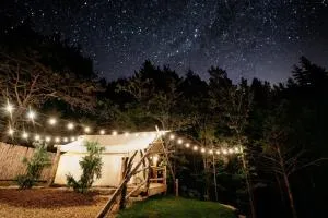 The Original Campsite on 53 acres, Branson, MO - Walnut Shade