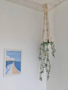 Little Haven Too, one bed chalet in Dartmouth