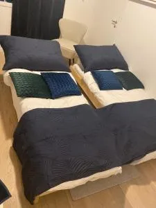 Nordheim Studio Apartment - Åsgård