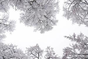 The Kaprun Edition - Luxury Chalets & Style Suites