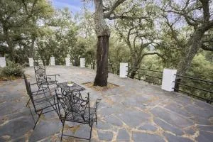 Pozuelo 2 JABUGO - Castaño de Robledo