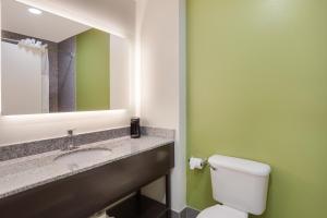 Standard King Room Sofabed - Non Smoking room in Red Lion Inn & Suites Saraland – Mobile