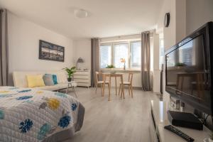 AC and Fast Wifi Modern Big Studio Apartment Emilii Plater 55